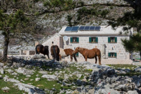 Holiday Home Vrata Biokova